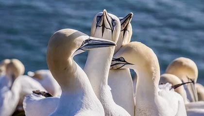 Ac米兰俱乐部官网-世界杯预选赛U23国足出战 数据分析揭示问题，u23世界杯百度百科